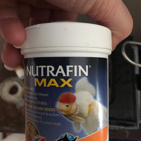 Aquarium - Picture 3 of 5